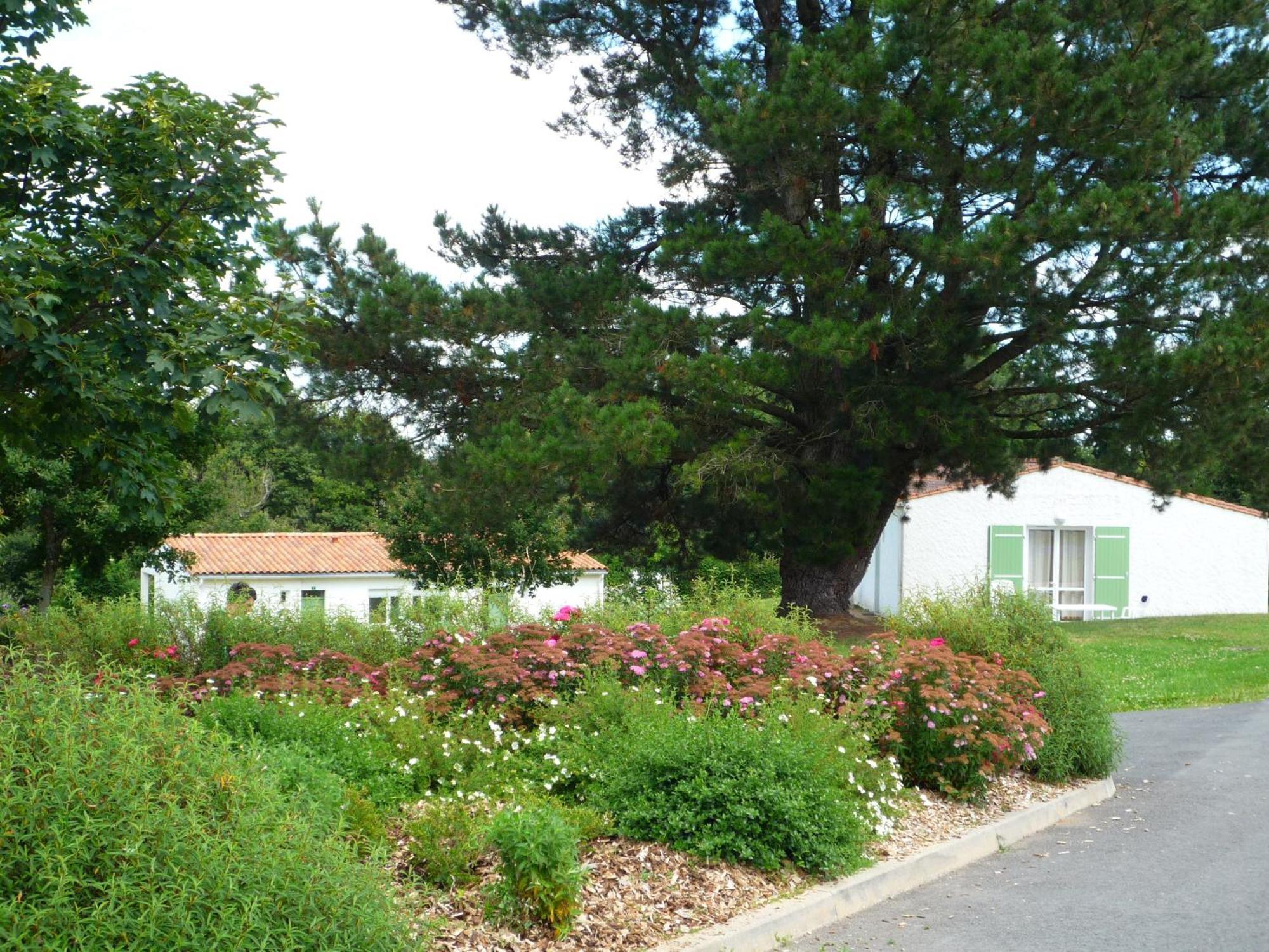 Village Vacances De Chantonnay Εξωτερικό φωτογραφία